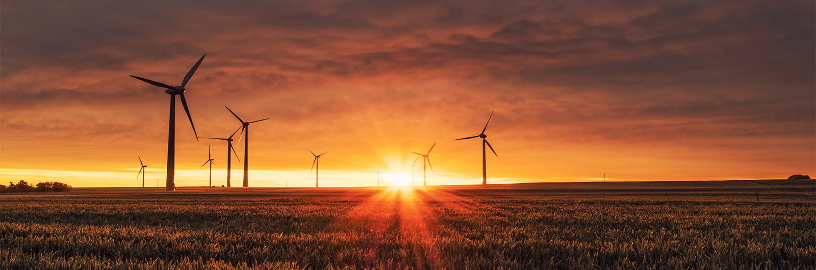 3 dispositions de la loi Climat bousculent la grande conso