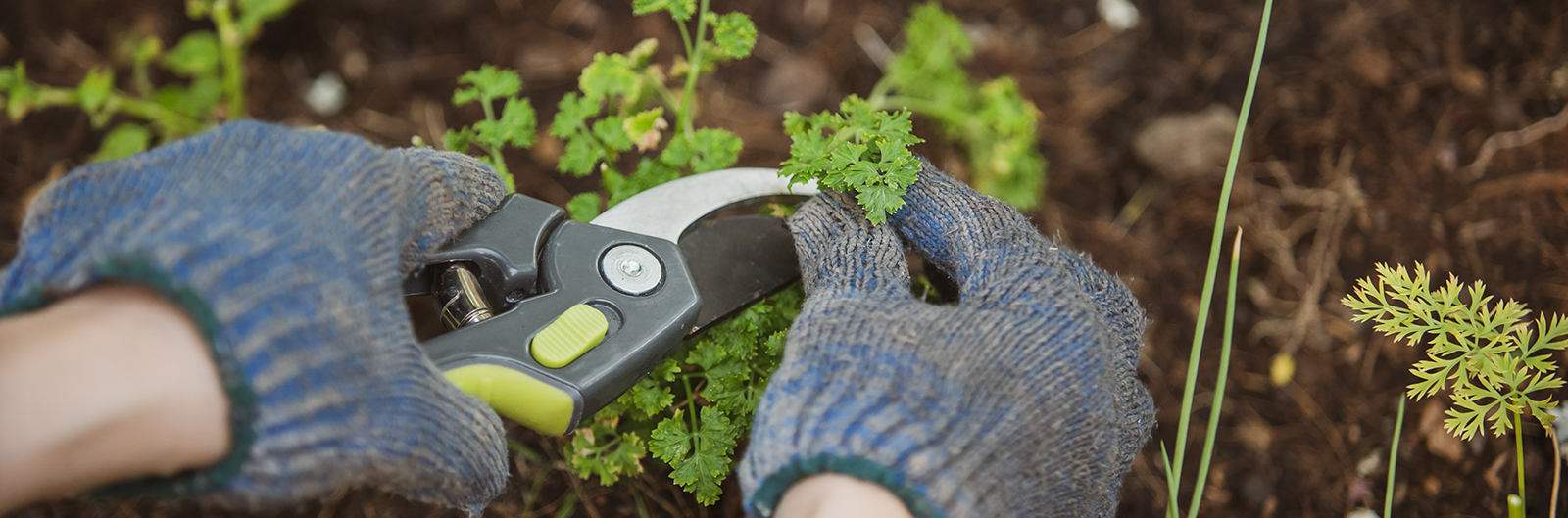 Catalogues brico-jardin : la boite à outils des enseignes et des industriels